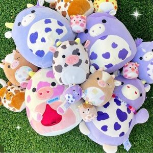 Evangélica the Cow Squishmallows 8” NWT